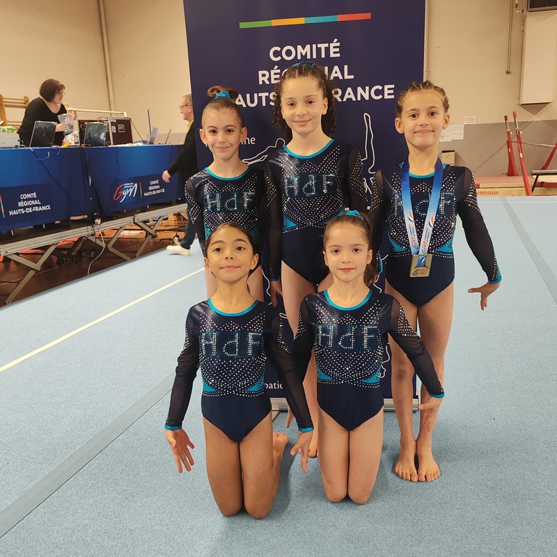 AMGA: Résultats de la revue d'effectif régionale des jeunes et avenirs de Gymnastique Artistique Féminine